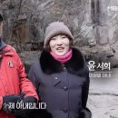 이원발 카카오 검색결과