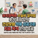 비에스지대체요법센타 | 하지정맥류 수술비 아끼는 법: 치료 목적 인정받아 건강보험 적용 성공한 후기 및 기준 총정리