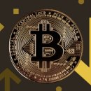 금광의료기기 이미지