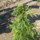 석교농장 이미지