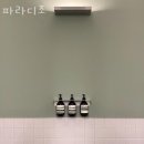 파라디조 이미지