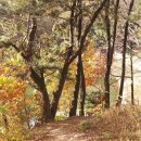 덕산저수지 티스토리