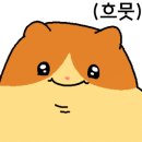 내고향추어탕송호돼지국밥 이미지