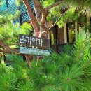 윤가이가 이미지