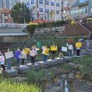 안암초등학교 이미지