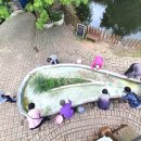 북부보건과 치매관리팀 이미지