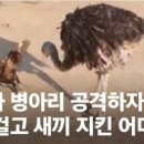 박성준 농장 네이버블로그