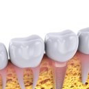 둔산남로 이미지