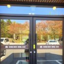 338 | 속초 생선구이 맛집 추천 | 설악산 고기 맛집 속초 바베큐 338 화덕생선구이정식 후기