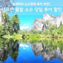 빙하생수 | 요세미티 투어 후기, 샌프란 출발 소수 인원 당일 투어 추천 할인