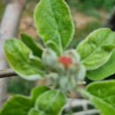 천지2농장 이미지