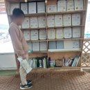 부산근교 아이랑 가볼만한곳 김해 뜨락 고구마수확 체험
