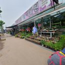 이동꽃마을 이미지