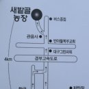 매남농장 네이버블로그