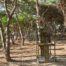 사전11-5 안길 이미지