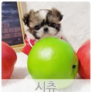 언제나이쁨