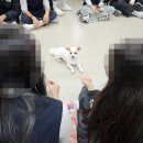 이리동중학교 이미지