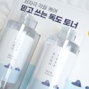 350 | 코스트코 독도토너 350 듀오 사용후기 토너패드 활용법