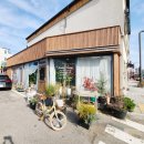 스칸디아모스 카네이션 바구니 만들기 | 양양 꽃집 소미꽃마을 꽃바구니 만들기 원데이 클래스 솔직 후기