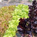 박경자농장 이미지