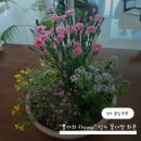 쁠라와 | 쁠라와 flawa: 성수 기념일 꽃다발 화분 부케 어버이날 내돈내산