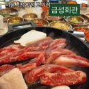 (주(금성) | 서울시청 맛집 고기집 ) 금성회관 솔직후기(메뉴,가격,주차)