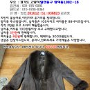 (판매완료)양가죽무스탕 남자105사이즈/여자88사이즈 (드라이세탁완료) 이미지