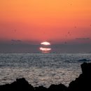 동해진미 이미지