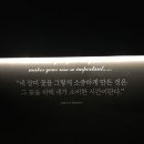 라파우자 이미지