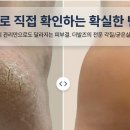 더발즈
