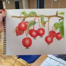 심곡본1동 행정복지센터 이미지