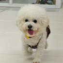 멈머즈 이미지
