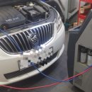 애니카랜드 화원점 이미지