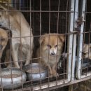 재판농장 이미지