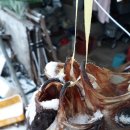 호랭이농장 이미지