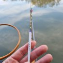 오룡낚시터 이미지