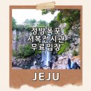 왈종미술관 | 정방폭포 입장료·주차·팁 총정리 서복전시관 무료