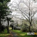 삼양동 선사유적지 이미지