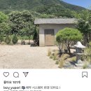 유포리나의집