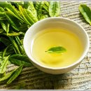 단전호흡 이미지