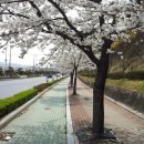 경북대학교 상주캠퍼스