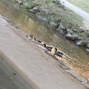 영웅축산 이미지