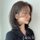 플럭(PLUCK) - 연수구 | 송도 미용실 '플럭(Pluck)' 머리 맛집 ! 찐 단골 솔직후기