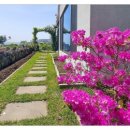 예래공인중개사사무소 이미지