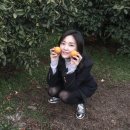 상창농장 이미지