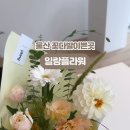 일랑플라워