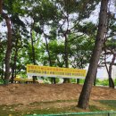 옥암근린공원 네이버블로그
