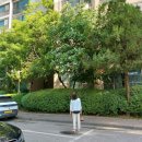 대찬공인중개사사무소 이미지