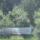 숲속의향기 | [ 담양 맛집 ] 광주 근교 담양 계곡 백숙 숲속의 향기 후기