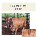 한우가 우소 농장 이미지